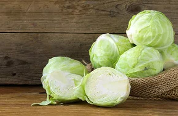 تصویر 3 از قیمت خرید کلم سفید خام + فروش ویژه